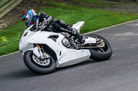 Lower Group White Bikes